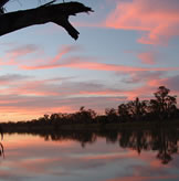 Sit back on Houseboat Escape at the end of the day and take in the amazing sunsets over the River Murray