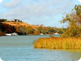 There is plenty of water in these parts of the Murray